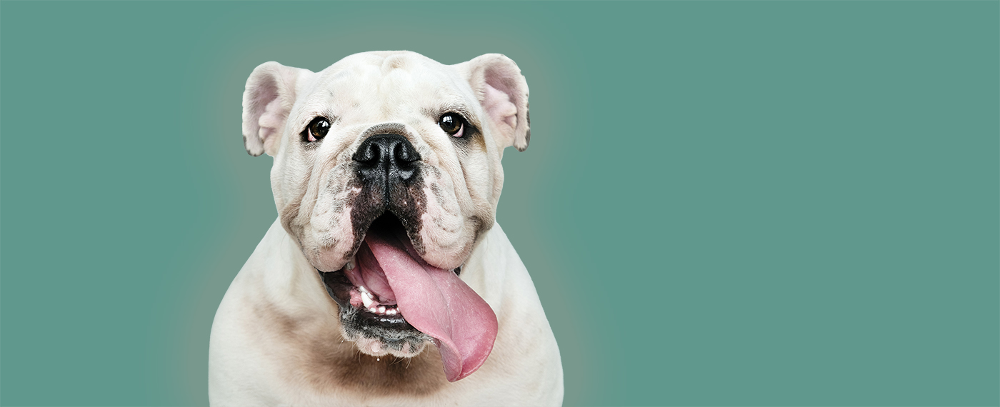 Symbolbild Newsletter