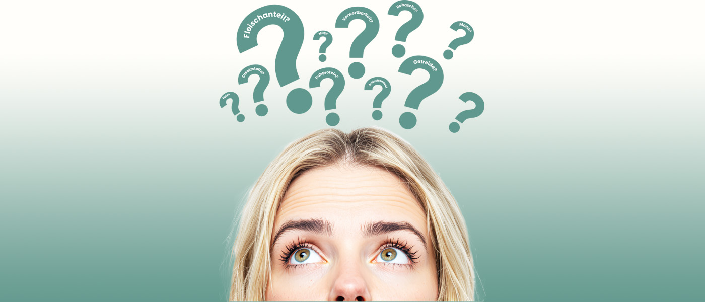 Häufig gestellte Fragen