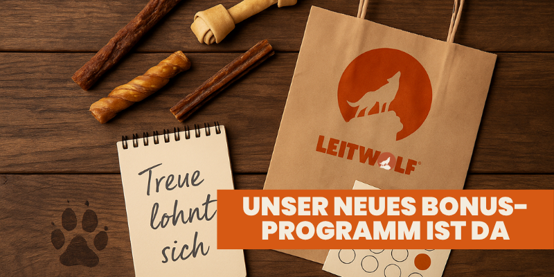 Leitwolf Blog Mai